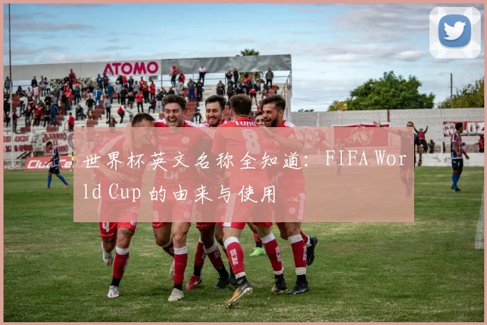 世界杯英文名称全知道:FIFA World Cup 的由来与使用
