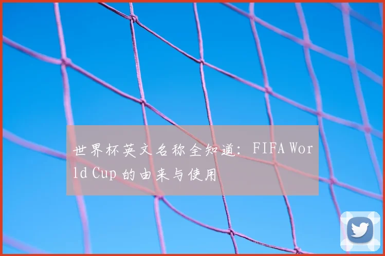 世界杯英文名称全知道:FIFA World Cup 的由来与使用