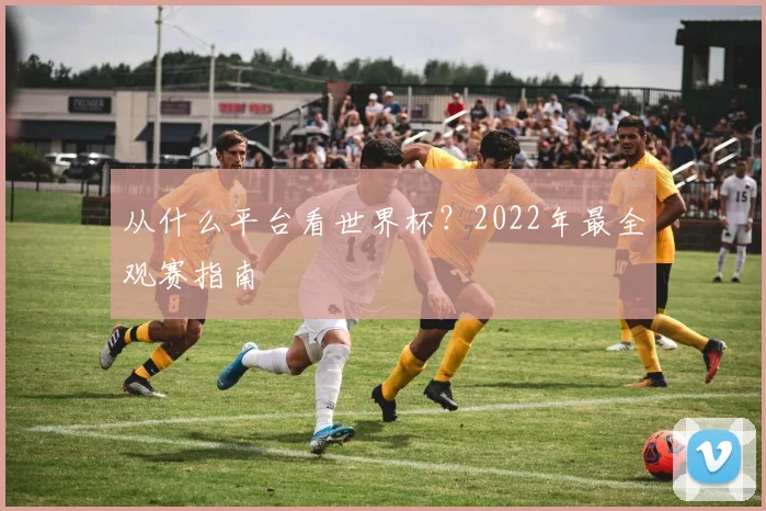 从什么平台看世界杯？2022年最全观赛指南
