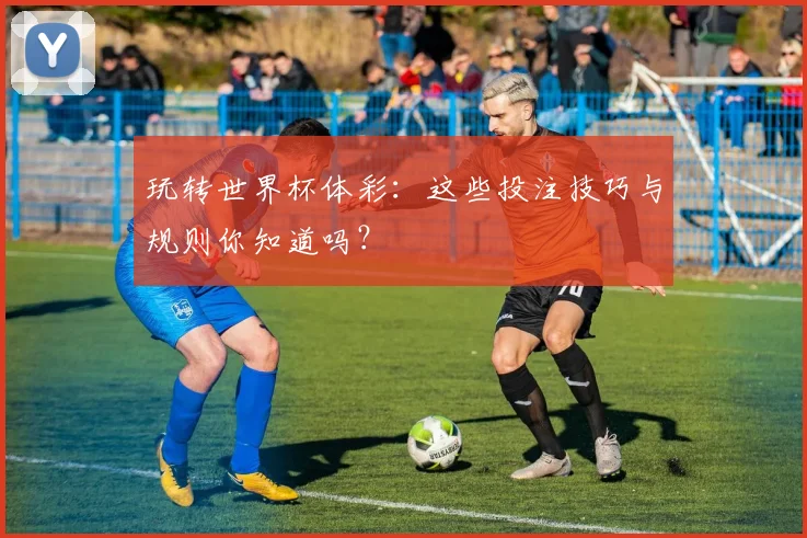 玩转世界杯体彩:这些投注技巧与规则你知道吗?