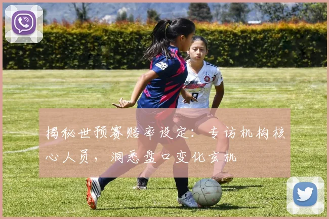 揭秘世预赛赔率设定:专访机构核心人员,洞悉盘口变化玄机