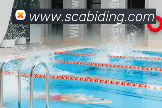 博亚娱乐app官方网站平台生态图