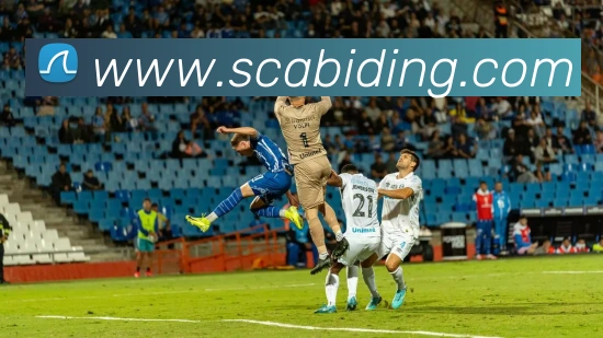 博亚娱乐app官方网站APP 封面图